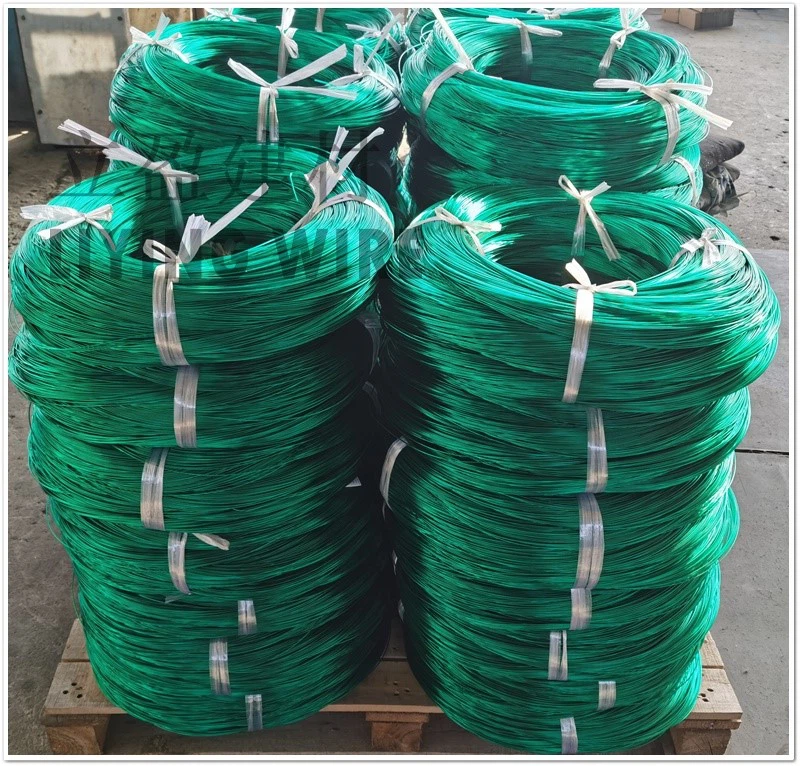 IMG20191128112006 IMG20191128112006